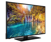 Gogen TV GOGEN 43" TVF43P452T FHD - 1379141 - zdjęcie 2